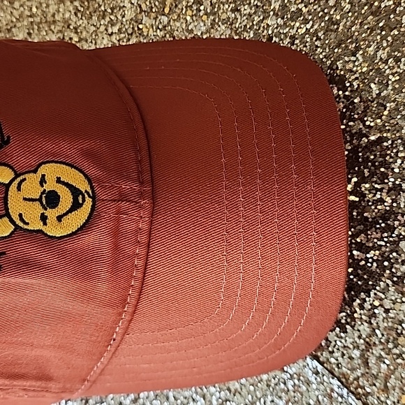 DISNEY WINNIE THE POOH ,DARK ORANGE, ONE SIZE - Picture 3 of 5